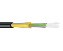 premise-fiber